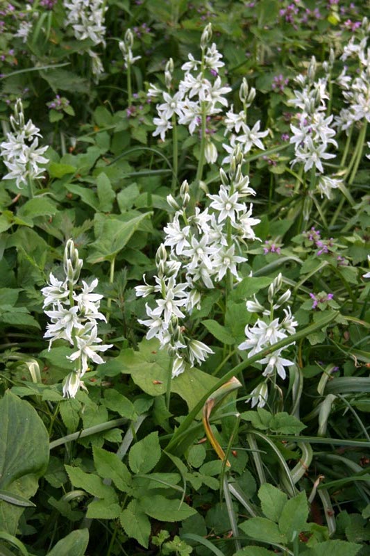 Killikus&reg; Fotographie